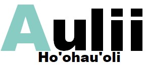 こころがほどける不動産屋 アウリィ